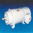 Kinamatic® Explosion Proof AC Motors