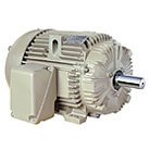 X$D Ultra® NEMA Premium Efficiency - TEFC AC Motors