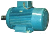 Electric Motor